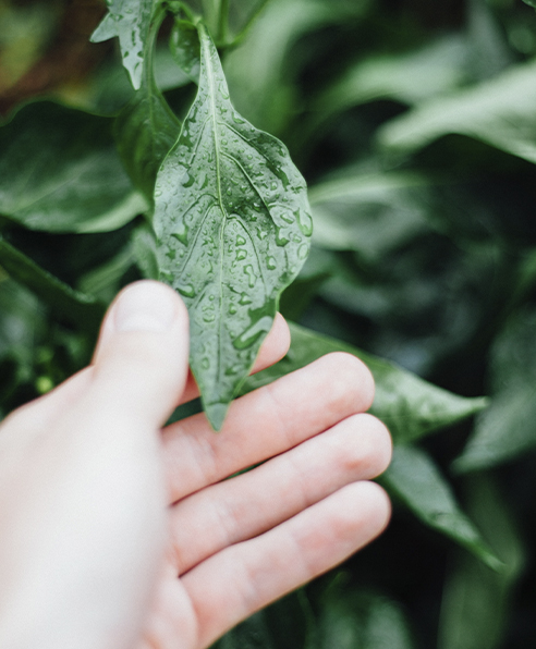 metasecurity sustainability